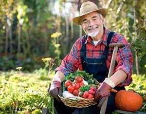 new zealand farm jobs