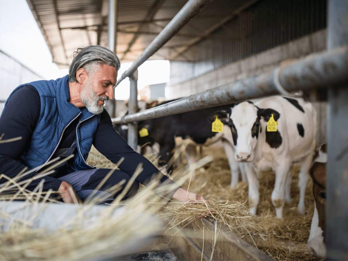 full time farm worker job nz