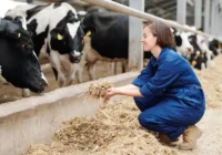 Japan farming jobs