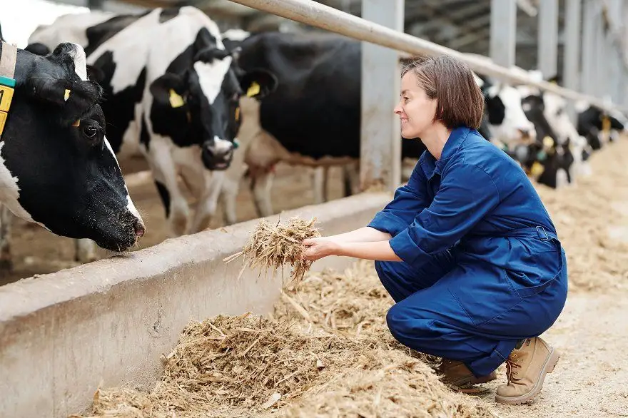 Japan farming jobs